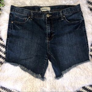 Free People Denim Shorts